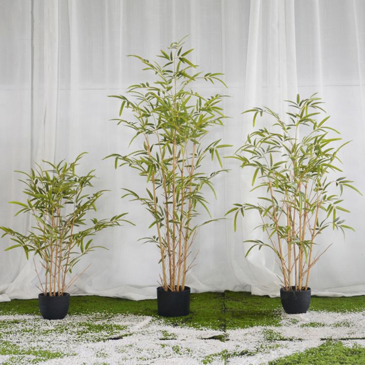artificial lucky bamboo plant