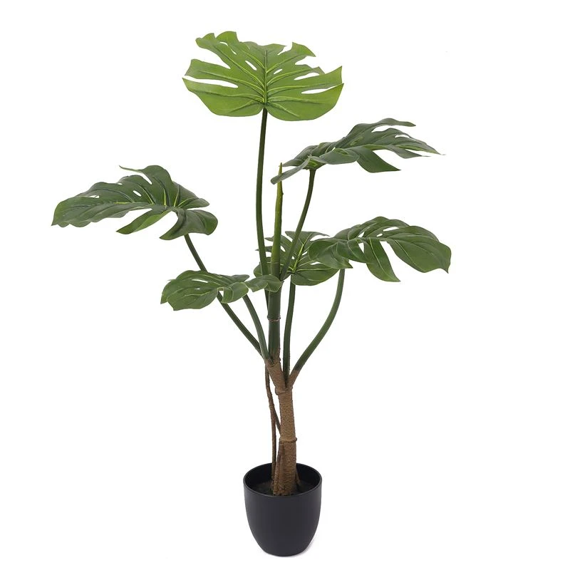Where does the simulated monstera tree apply